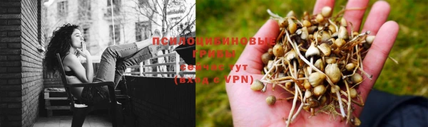 молекула духа Тайга