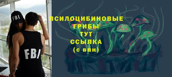 сатива Богородск