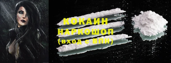 гашик Сясьстрой