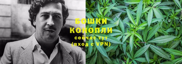 сатива Богородск