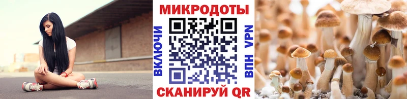 МЕГА маркетплейс  наркота  Костомукша  Псилоцибиновые грибы GOLDEN TEACHER 